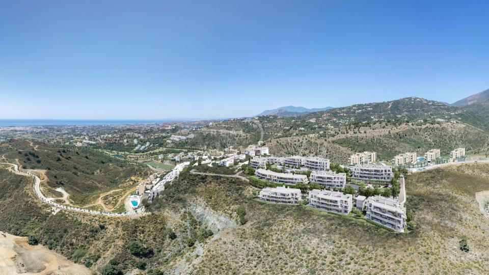 Quercus Phase I & II