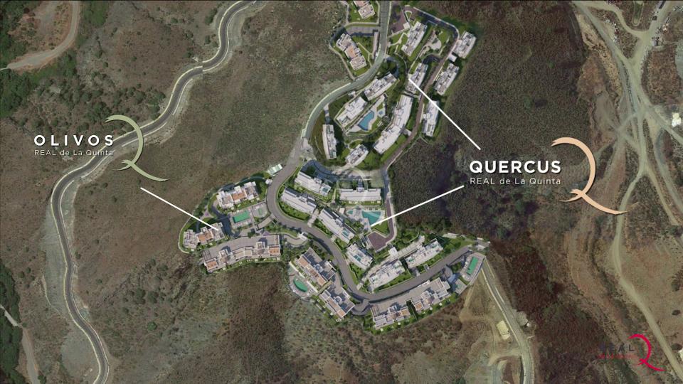 QUERCUS 2021