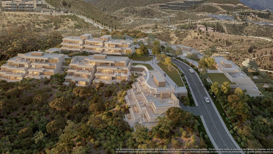 Palmitos - Aerial View