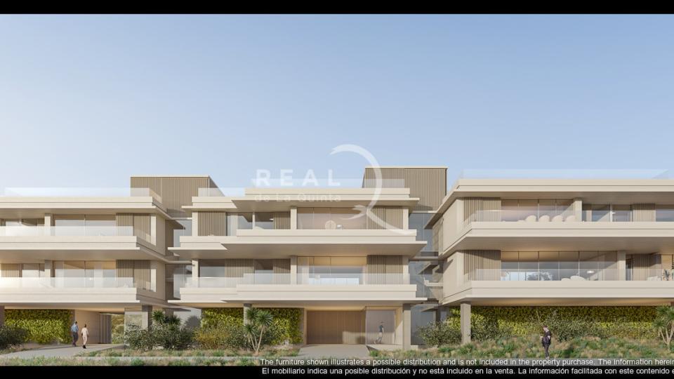 Palmitos - Entry Day (Phase II)