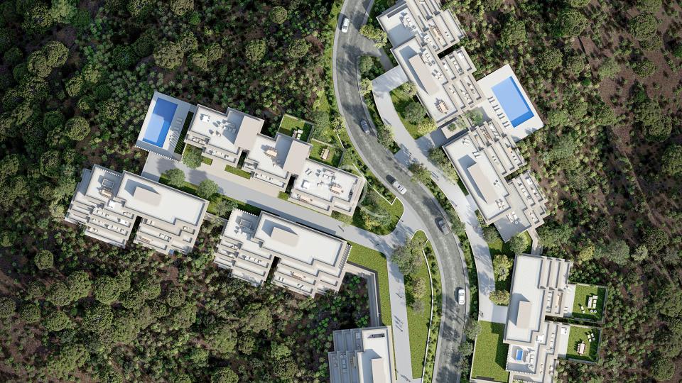 Palmitos - Top View
