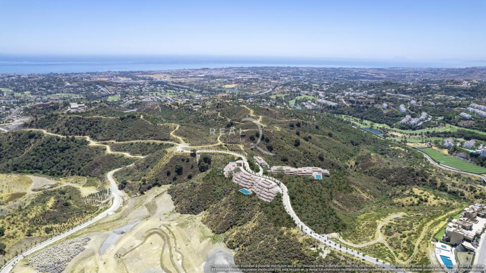 Palmitos - Aerial View 2