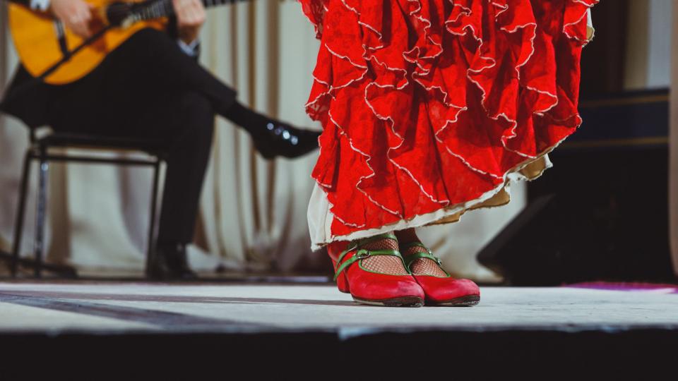 Flamenco Show