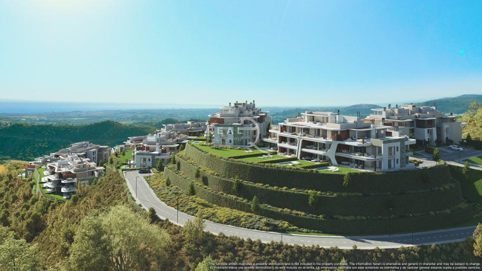 landscape of Real de La Quinta