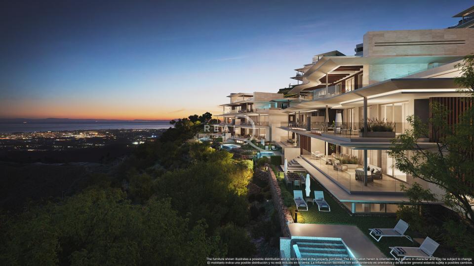 Mimosas Phase II Block 5 & 4