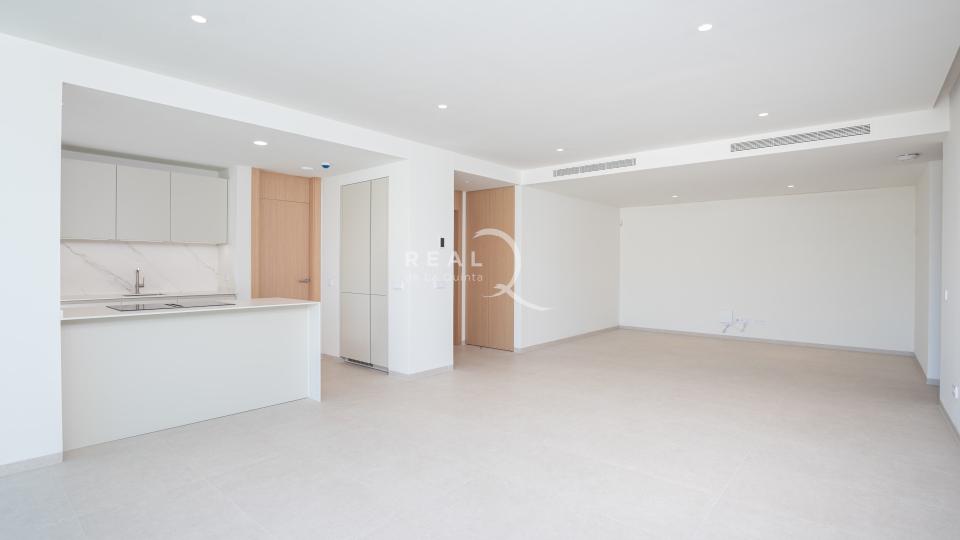 Living area &amp; kitchen