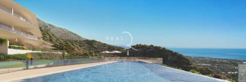 swimming pool at Real de La Quinta