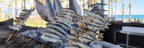 grilled sardines